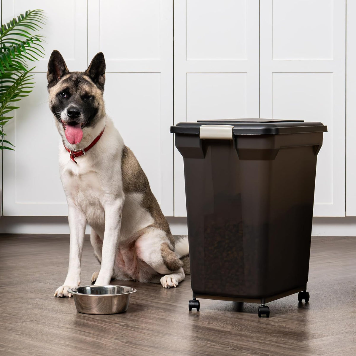 Dog Food Storage Container, Up to 58 lbs, Smoke Black, Made in USA