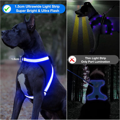 Light Up Dog Harness, No Pull Led Dog Harness Glow-in-The-Dark for Night Walking, USB Rechargeable Lighted Safety Vest for Medium Large Dogs, Adjustable Soft Mesh Fully Illuminated(Green, L)