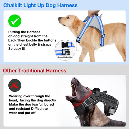 Light Up Dog Harness, No Pull Led Dog Harness Glow-in-The-Dark for Night Walking, USB Rechargeable Lighted Safety Vest for Medium Large Dogs, Adjustable Soft Mesh Fully Illuminated(Green, L)