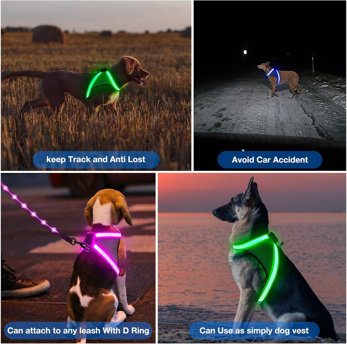 Light Up Dog Harness, No Pull Led Dog Harness Glow-in-The-Dark for Night Walking, USB Rechargeable Lighted Safety Vest for Medium Large Dogs, Adjustable Soft Mesh Fully Illuminated(Green, L)