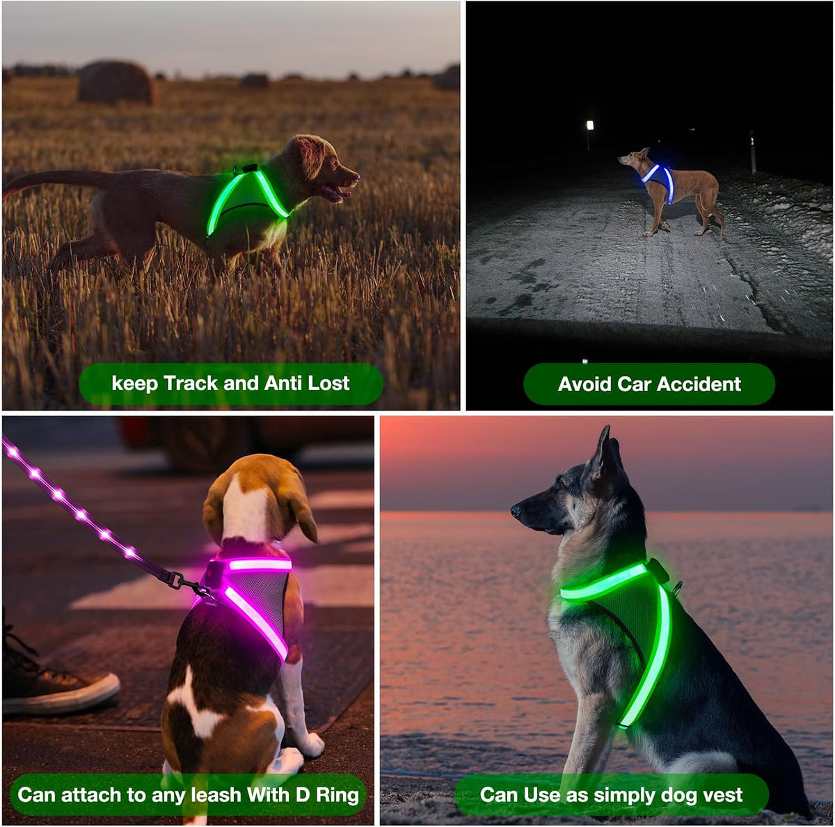 Light Up Dog Harness, No Pull Led Dog Harness Glow-in-The-Dark for Night Walking, USB Rechargeable Lighted Safety Vest for Medium Large Dogs, Adjustable Soft Mesh Fully Illuminated(Green, L)