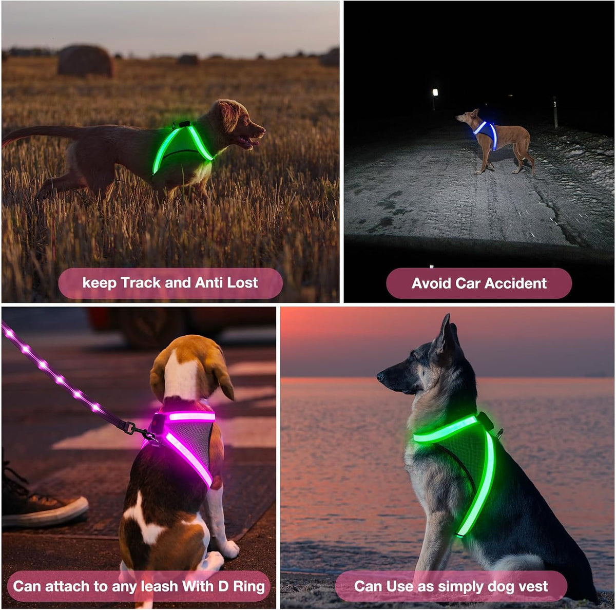 Light Up Dog Harness, No Pull Led Dog Harness Glow-in-The-Dark for Night Walking, USB Rechargeable Lighted Safety Vest for Medium Large Dogs, Adjustable Soft Mesh Fully Illuminated(Green, L)