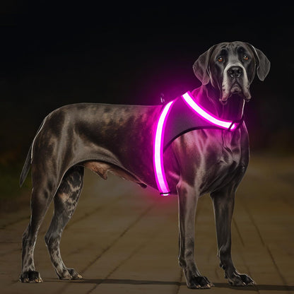 Light Up Dog Harness, No Pull Led Dog Harness Glow-in-The-Dark for Night Walking, USB Rechargeable Lighted Safety Vest for Medium Large Dogs, Adjustable Soft Mesh Fully Illuminated(Green, L)