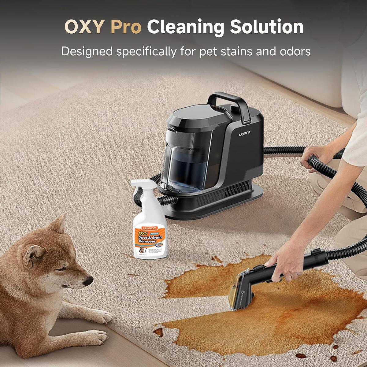 Carpet Cleaner Machine with Steam&Hot&Cold Water Models 18Kpa Powerful Suction Upholstery Cleaner Machine with Pet Pro Cleaner for Pets, Carpet Steam Cleaner Set of 1