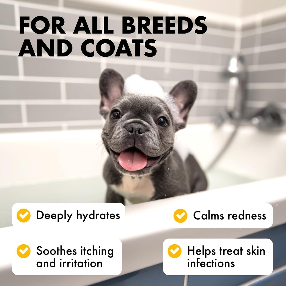 Oatmeal Dog Shampoo & Conditioner Set for Itchy Skin, 2 x 16 oz