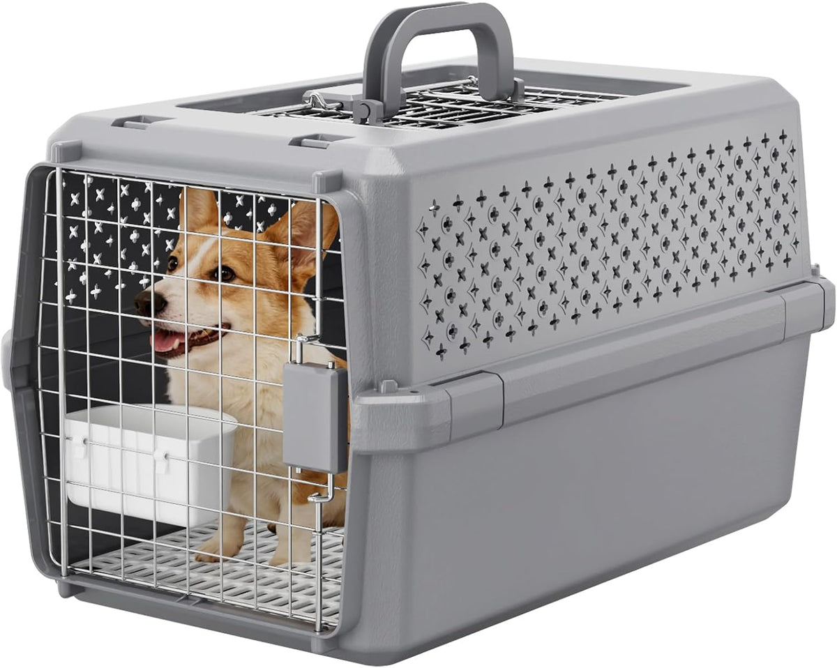 Gray Pet Carrier for Medium Dogs & Cats, Hard-Sided Travel Kennel