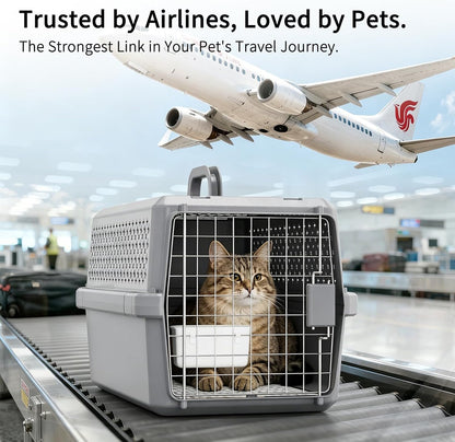 Gray Pet Carrier for Medium Dogs & Cats, Hard-Sided Travel Kennel
