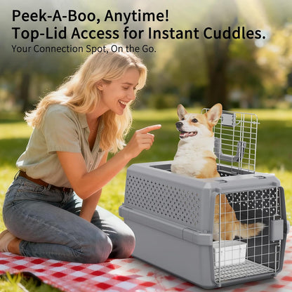 Gray Pet Carrier for Medium Dogs & Cats, Hard-Sided Travel Kennel