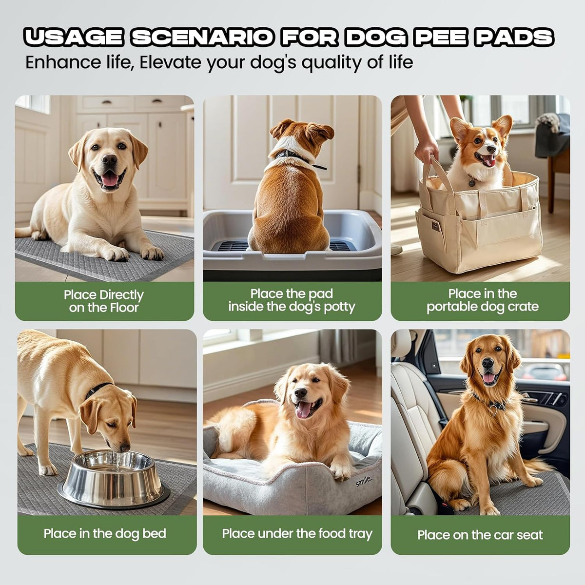 Dog Pee Pads for Dogs XXL 30"x36" with Adhesive Tabs
