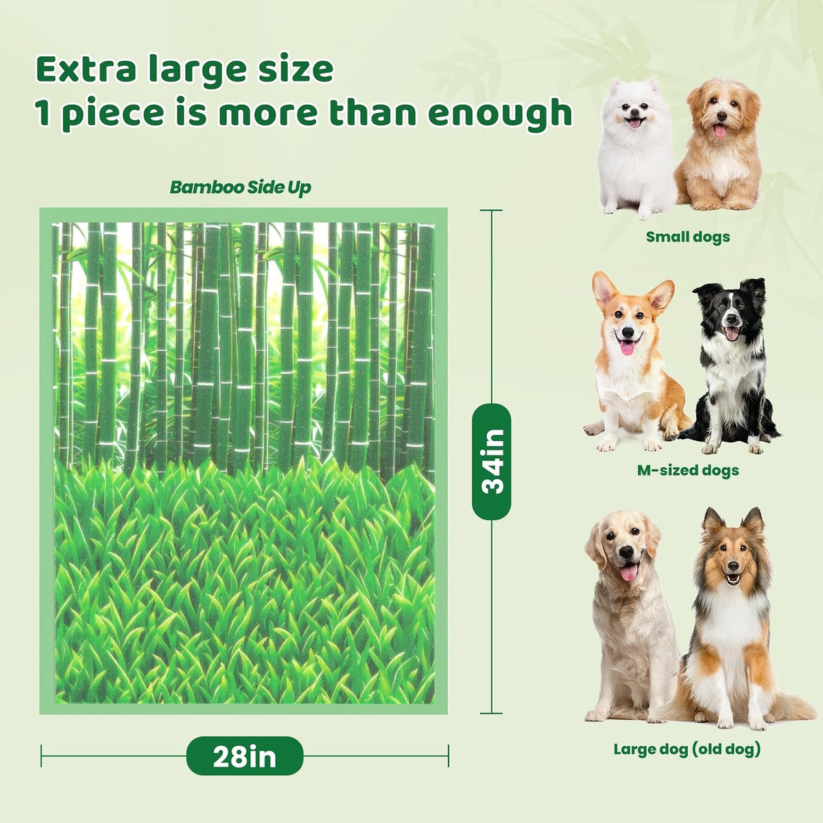 Dog Pee Pads for Dogs XXL 30"x36" with Adhesive Tabs