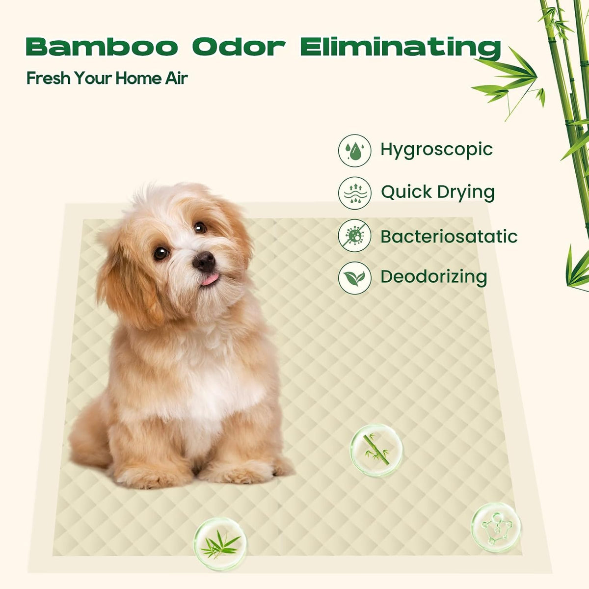 Dog Pee Pads for Dogs XXL 30"x36" with Adhesive Tabs