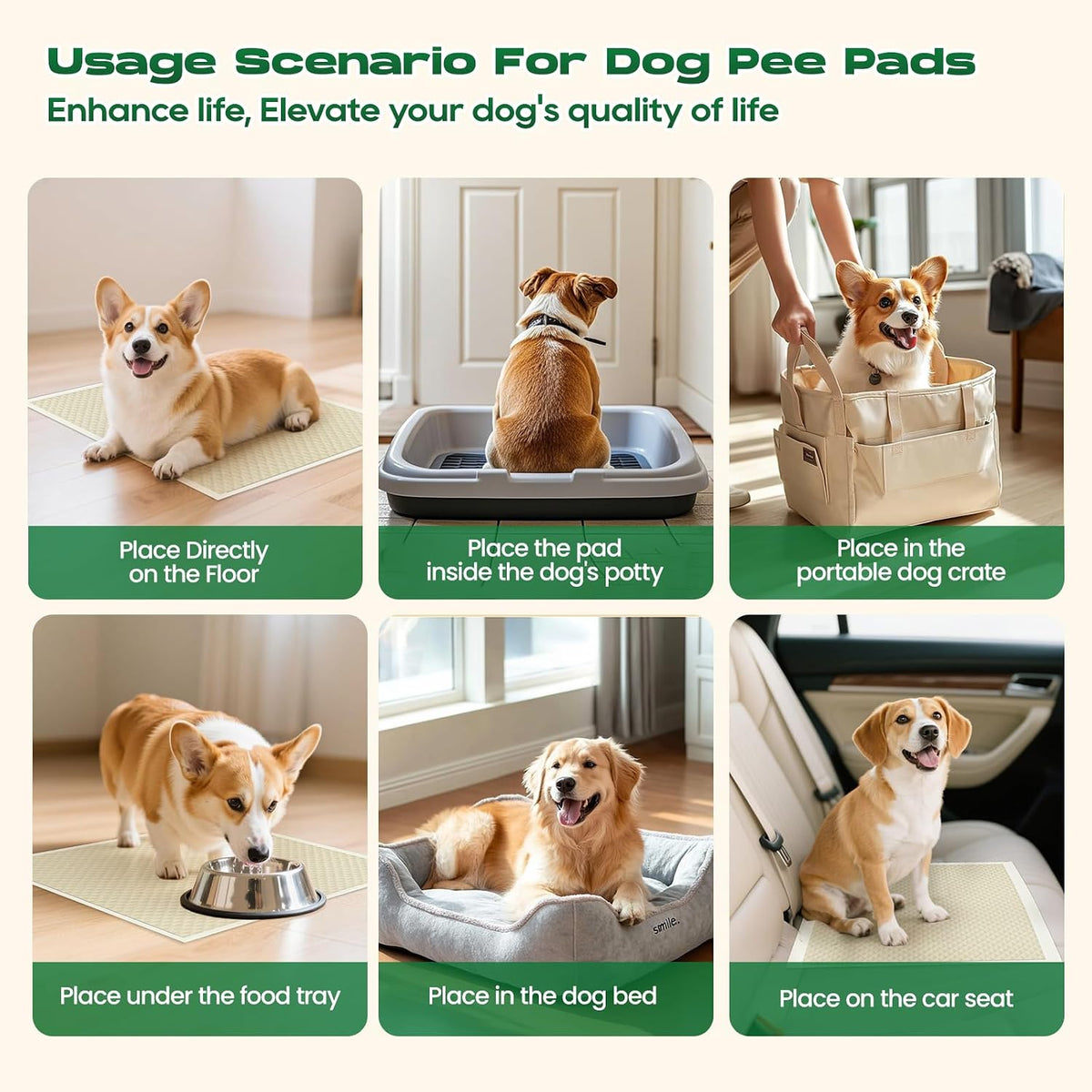 Dog Pee Pads for Dogs XXL 30"x36" with Adhesive Tabs