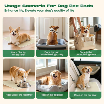 Dog Pee Pads for Dogs XXL 30"x36" with Adhesive Tabs