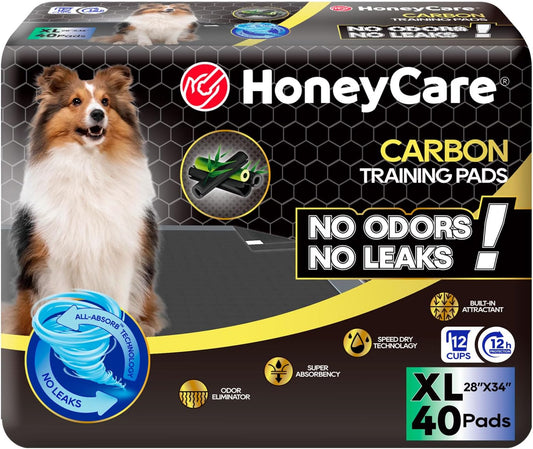 All-Absorb Puppy Training Pads Dog Potty Pads Absorb Eliminating Urine Odor, Jumbo-Size Charcoal Puppy Pee Pad (Carbon, XL 28x34 inch, 40ct)