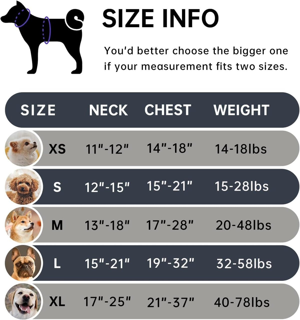 No Pull Dog Harness for Medium Dogs, Dog Vest Harness with Leash, Safety Belt and Storage Strap, Fully Adjustable Harness, 360° Reflective Strip, Soft Handle (Purple, M)