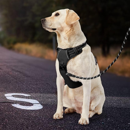 No Pull Dog Harness for Medium Dogs, Dog Vest Harness with Leash, Safety Belt and Storage Strap, Fully Adjustable Harness, 360° Reflective Strip, Soft Handle (Purple, M)