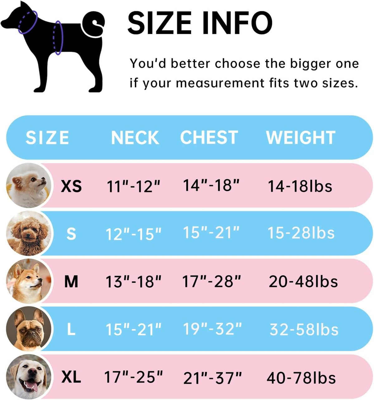 No Pull Dog Harness for Medium Dogs, Dog Vest Harness with Leash, Safety Belt and Storage Strap, Fully Adjustable Harness, 360° Reflective Strip, Soft Handle (Purple, M)