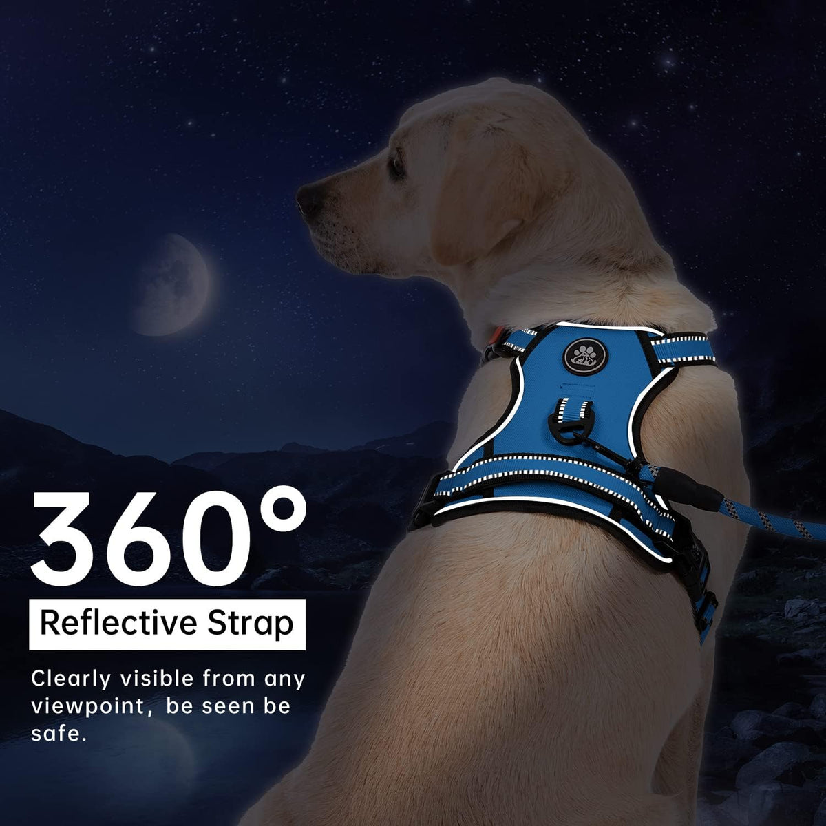 No Pull Dog Harness for Medium Dogs, Dog Vest Harness with Leash, Safety Belt and Storage Strap, Fully Adjustable Harness, 360° Reflective Strip, Soft Handle (Purple, M)