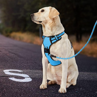 No Pull Dog Harness for Medium Dogs, Dog Vest Harness with Leash, Safety Belt and Storage Strap, Fully Adjustable Harness, 360° Reflective Strip, Soft Handle (Purple, M)