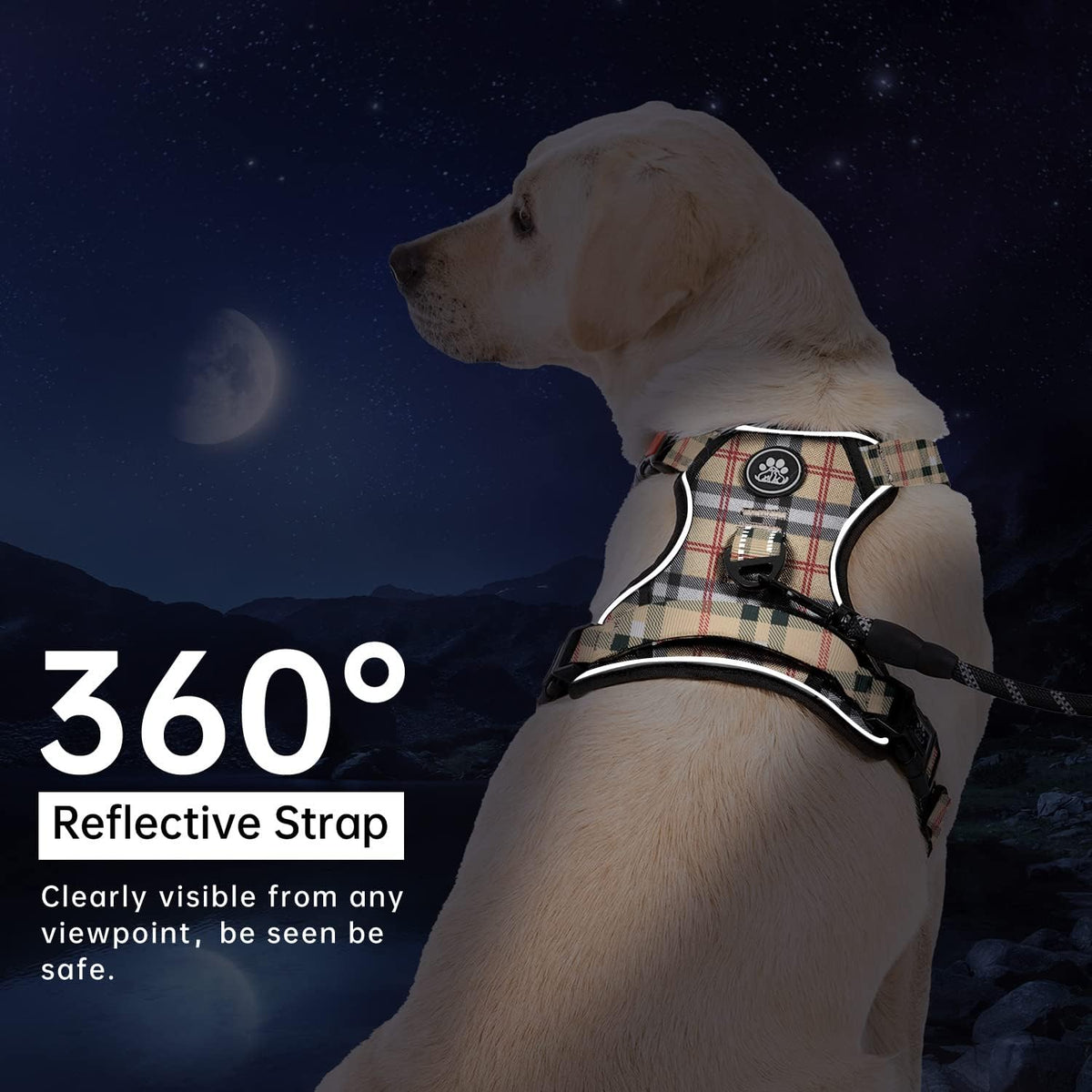 No Pull Dog Harness for Medium Dogs, Dog Vest Harness with Leash, Safety Belt and Storage Strap, Fully Adjustable Harness, 360° Reflective Strip, Soft Handle (Purple, M)