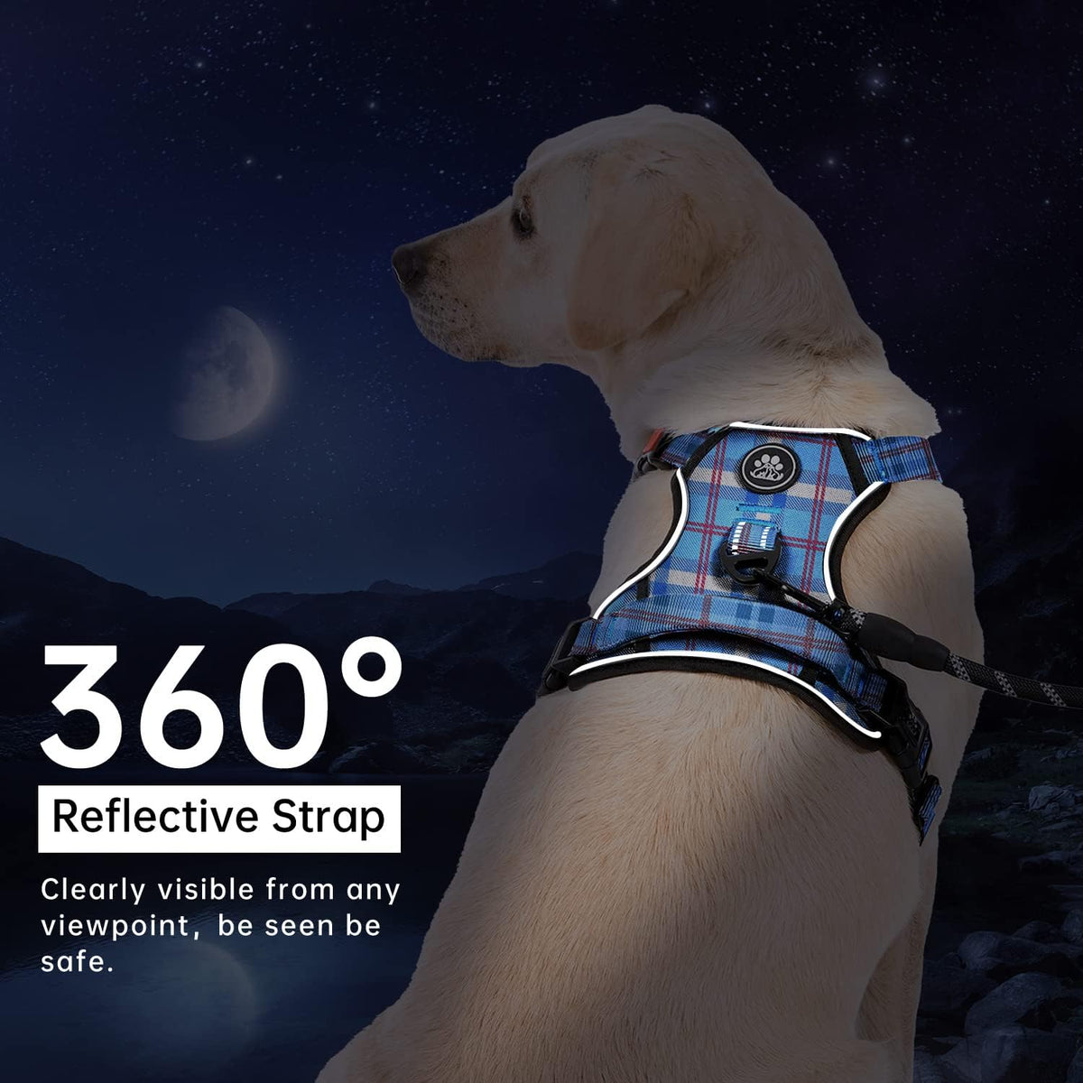 No Pull Dog Harness for Medium Dogs, Dog Vest Harness with Leash, Safety Belt and Storage Strap, Fully Adjustable Harness, 360° Reflective Strip, Soft Handle (Purple, M)