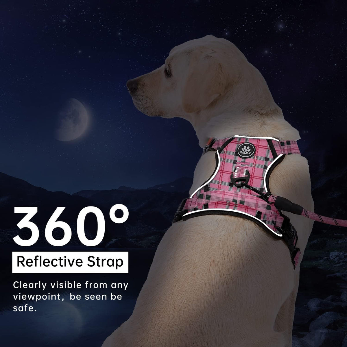 No Pull Dog Harness for Medium Dogs, Dog Vest Harness with Leash, Safety Belt and Storage Strap, Fully Adjustable Harness, 360° Reflective Strip, Soft Handle (Purple, M)