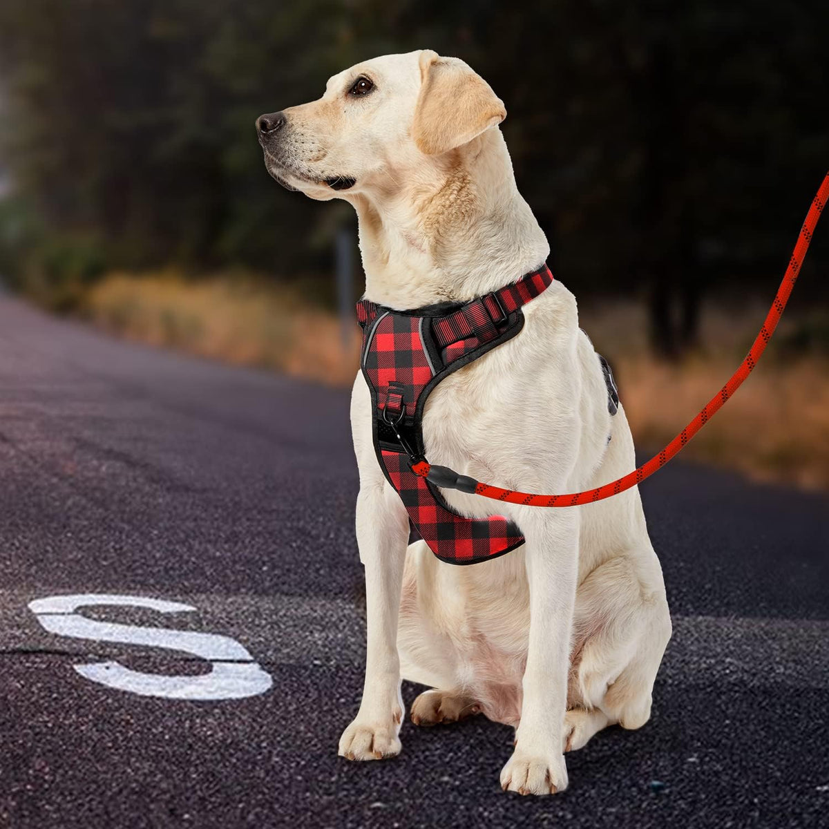 No Pull Dog Harness for Medium Dogs, Dog Vest Harness with Leash, Safety Belt and Storage Strap, Fully Adjustable Harness, 360° Reflective Strip, Soft Handle (Purple, M)