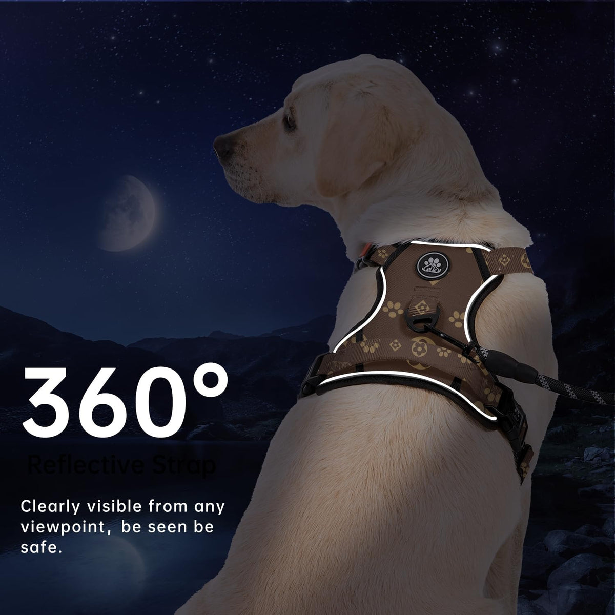 No Pull Dog Harness for Medium Dogs, Dog Vest Harness with Leash, Safety Belt and Storage Strap, Fully Adjustable Harness, 360° Reflective Strip, Soft Handle (Purple, M)