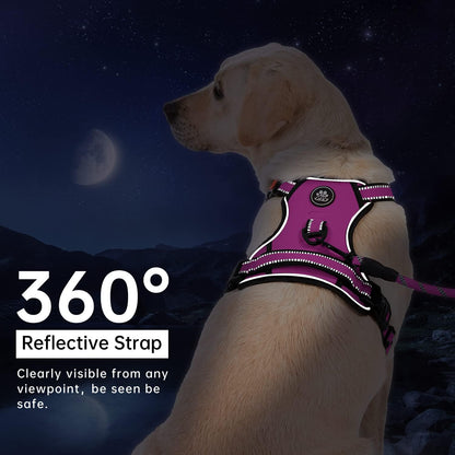 No Pull Dog Harness for Medium Dogs, Dog Vest Harness with Leash, Safety Belt and Storage Strap, Fully Adjustable Harness, 360° Reflective Strip, Soft Handle (Purple, M)