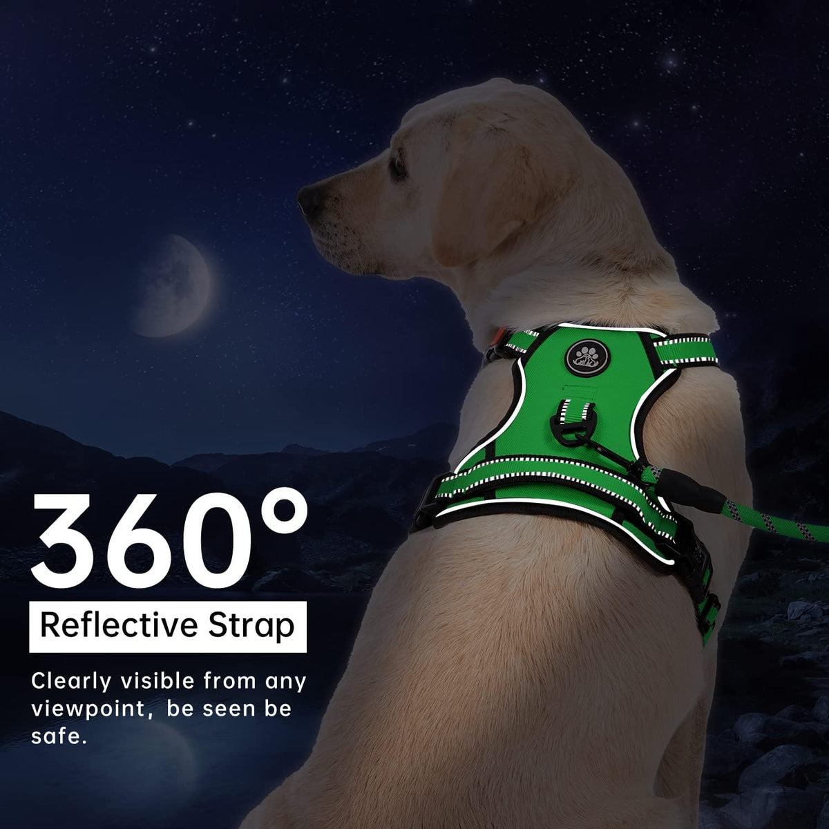 No Pull Dog Harness for Medium Dogs, Dog Vest Harness with Leash, Safety Belt and Storage Strap, Fully Adjustable Harness, 360° Reflective Strip, Soft Handle (Purple, M)