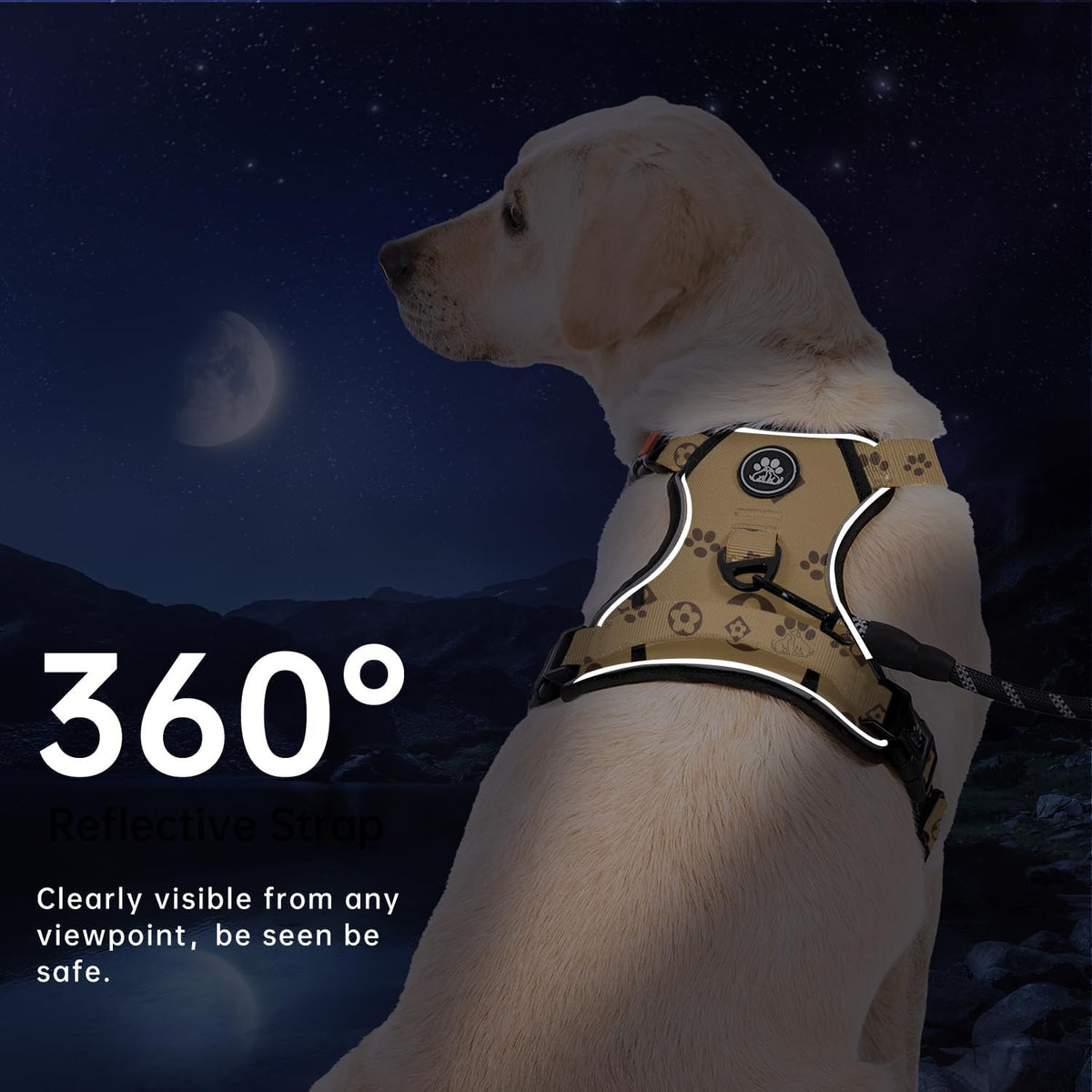 No Pull Dog Harness for Medium Dogs, Dog Vest Harness with Leash, Safety Belt and Storage Strap, Fully Adjustable Harness, 360° Reflective Strip, Soft Handle (Purple, M)