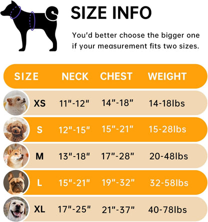 No Pull Dog Harness for Medium Dogs, Dog Vest Harness with Leash, Safety Belt and Storage Strap, Fully Adjustable Harness, 360° Reflective Strip, Soft Handle (Purple, M)