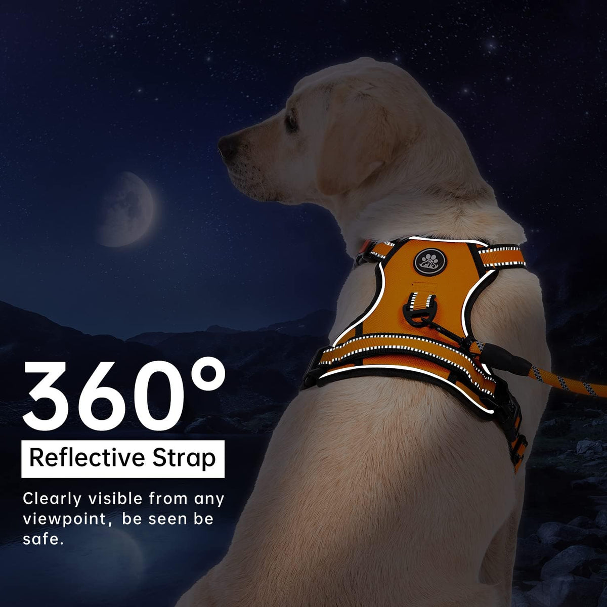 No Pull Dog Harness for Medium Dogs, Dog Vest Harness with Leash, Safety Belt and Storage Strap, Fully Adjustable Harness, 360° Reflective Strip, Soft Handle (Purple, M)