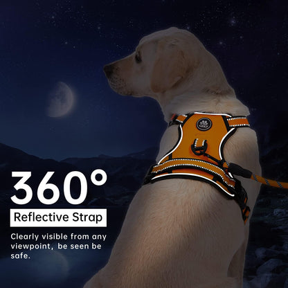 No Pull Dog Harness for Medium Dogs, Dog Vest Harness with Leash, Safety Belt and Storage Strap, Fully Adjustable Harness, 360° Reflective Strip, Soft Handle (Purple, M)