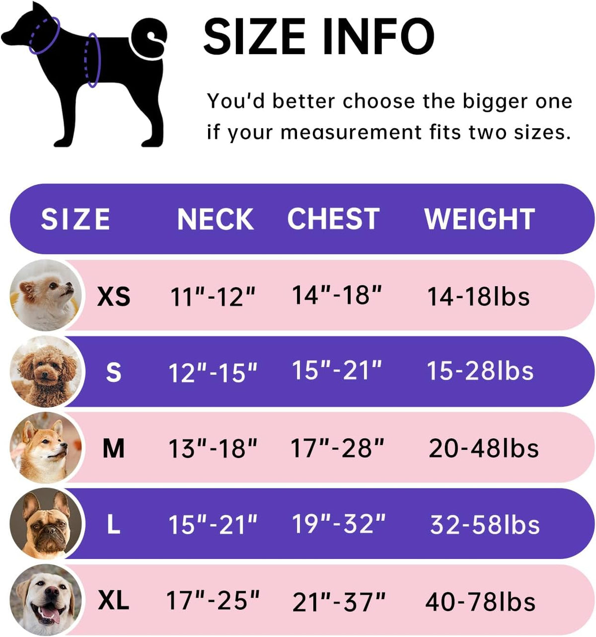 No Pull Dog Harness for Medium Dogs, Dog Vest Harness with Leash, Safety Belt and Storage Strap, Fully Adjustable Harness, 360° Reflective Strip, Soft Handle (Purple, M)