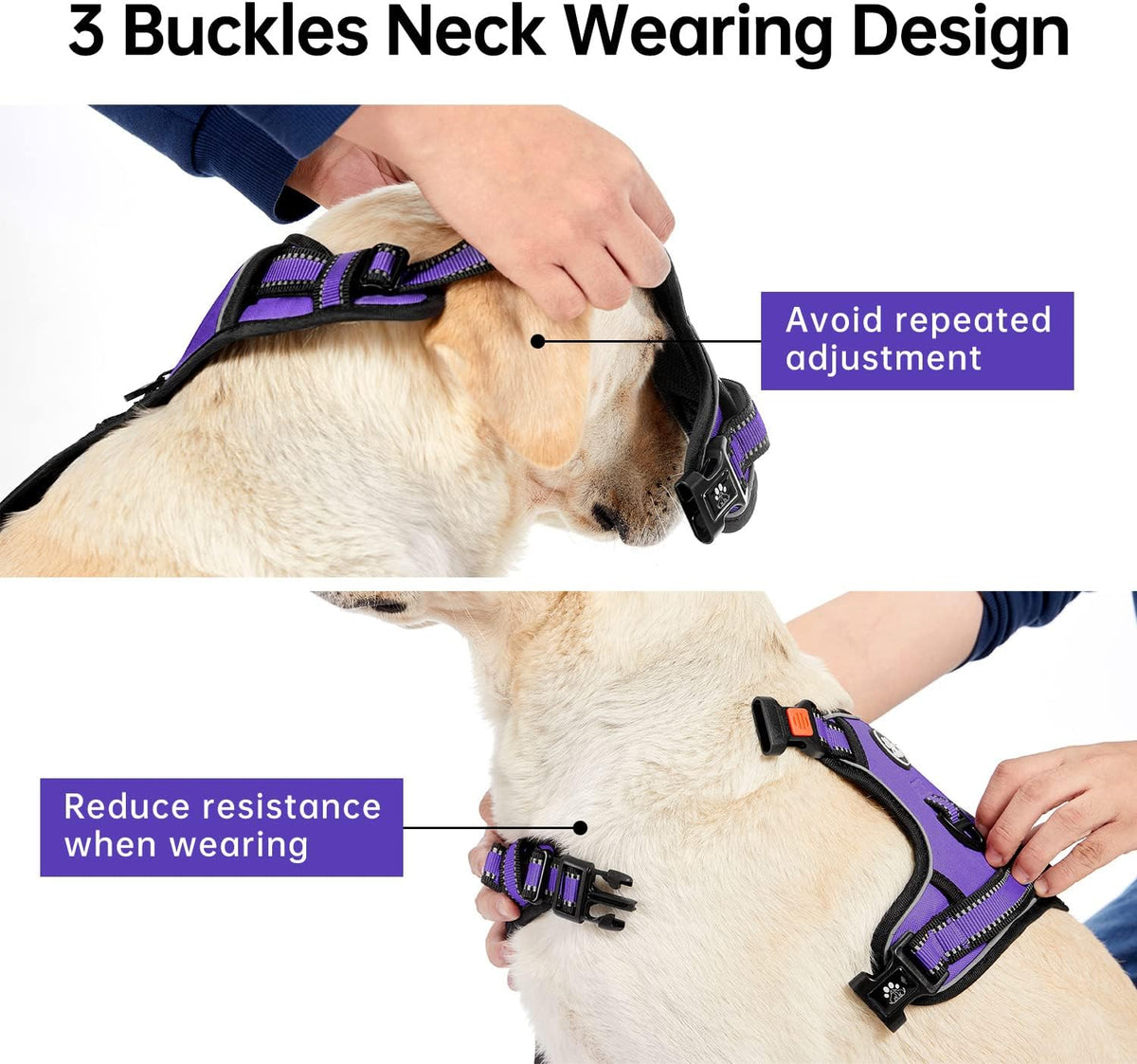 No Pull Dog Harness for Medium Dogs, Dog Vest Harness with Leash, Safety Belt and Storage Strap, Fully Adjustable Harness, 360° Reflective Strip, Soft Handle (Purple, M)