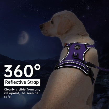 No Pull Dog Harness for Medium Dogs, Dog Vest Harness with Leash, Safety Belt and Storage Strap, Fully Adjustable Harness, 360° Reflective Strip, Soft Handle (Purple, M)