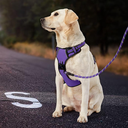 No Pull Dog Harness for Medium Dogs, Dog Vest Harness with Leash, Safety Belt and Storage Strap, Fully Adjustable Harness, 360° Reflective Strip, Soft Handle (Purple, M)