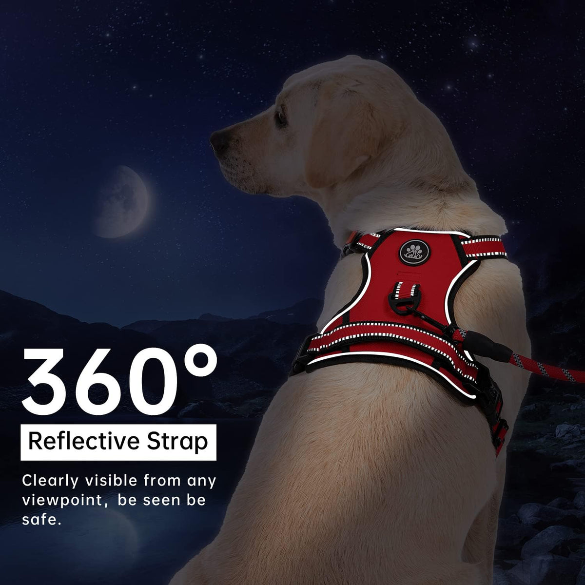 No Pull Dog Harness for Medium Dogs, Dog Vest Harness with Leash, Safety Belt and Storage Strap, Fully Adjustable Harness, 360° Reflective Strip, Soft Handle (Purple, M)