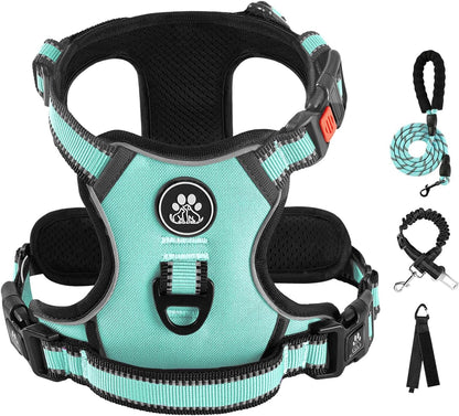 No Pull Dog Harness for Medium Dogs, Dog Vest Harness with Leash, Safety Belt and Storage Strap, Fully Adjustable Harness, 360° Reflective Strip, Soft Handle (Purple, M)