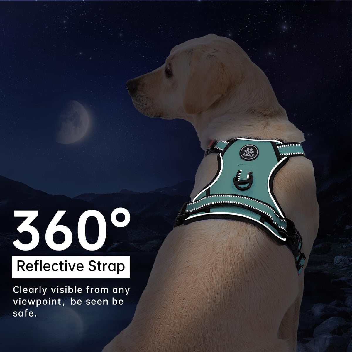 No Pull Dog Harness for Medium Dogs, Dog Vest Harness with Leash, Safety Belt and Storage Strap, Fully Adjustable Harness, 360° Reflective Strip, Soft Handle (Purple, M)