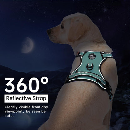 No Pull Dog Harness for Medium Dogs, Dog Vest Harness with Leash, Safety Belt and Storage Strap, Fully Adjustable Harness, 360° Reflective Strip, Soft Handle (Purple, M)