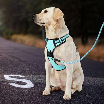 No Pull Dog Harness for Medium Dogs, Dog Vest Harness with Leash, Safety Belt and Storage Strap, Fully Adjustable Harness, 360° Reflective Strip, Soft Handle (Purple, M)