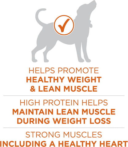 Plus Healthy Weight Dry Dog Food, Real Turkey, 16.5 lb Bag