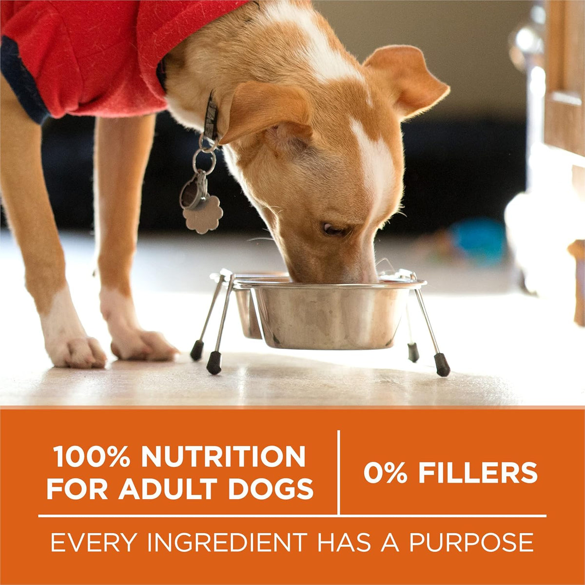 Plus Healthy Weight Dry Dog Food, Real Turkey, 16.5 lb Bag
