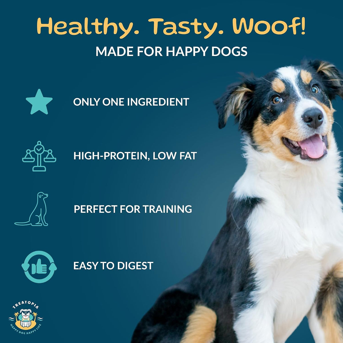 TREATOPIA Beef Lung Nuggies Dog Treats, 1 LB Bag, All-Natural