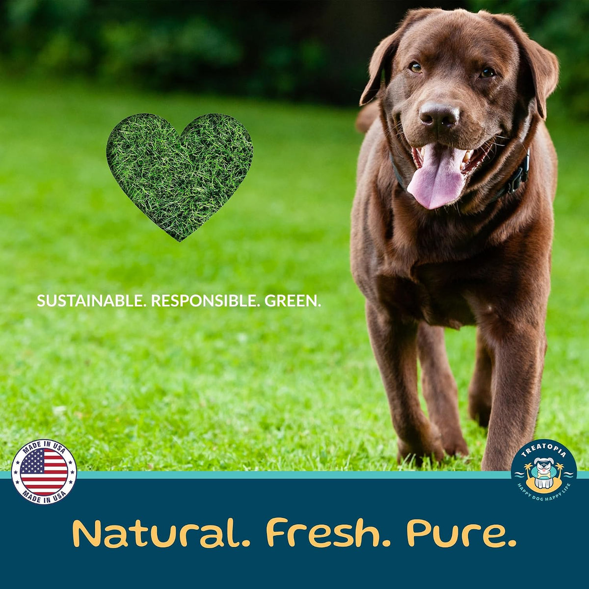 TREATOPIA Beef Lung Nuggies Dog Treats, 1 LB Bag, All-Natural