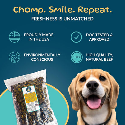 TREATOPIA Beef Lung Nuggies Dog Treats, 1 LB Bag, All-Natural
