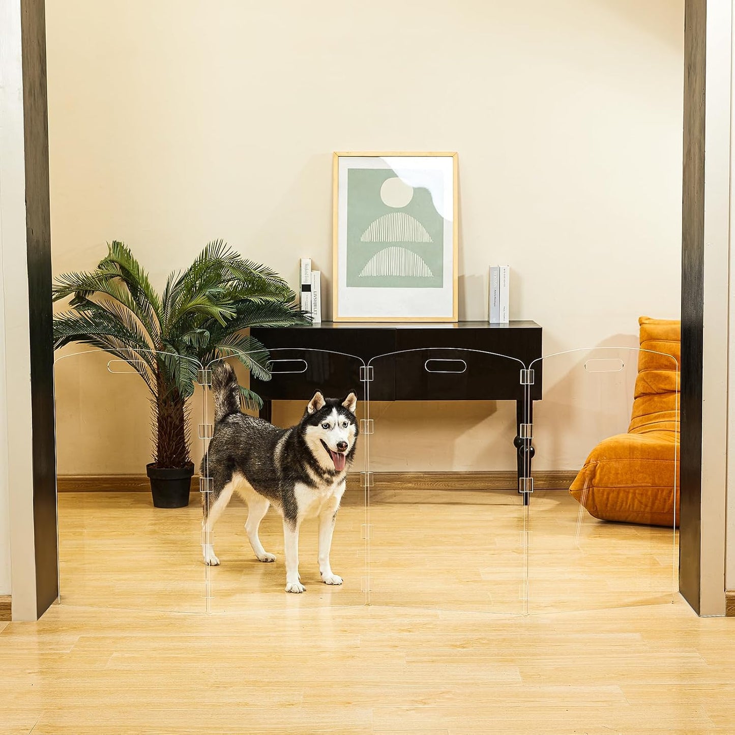 Modern Frame Clear Acrylic Freestanding Dog Gate - 32" Tall Folding 3-Panel Pet Barrier for Doorways, Stairs & Large Openings, Indoor Fence for Small to Large Dogs & Cats