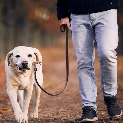 6ft Leather Dog Leash for Large Medium Dogs Heavy Duty Training Leash
